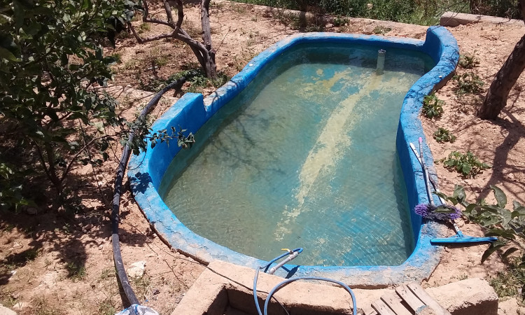 اجاره باغ سبز رویایی