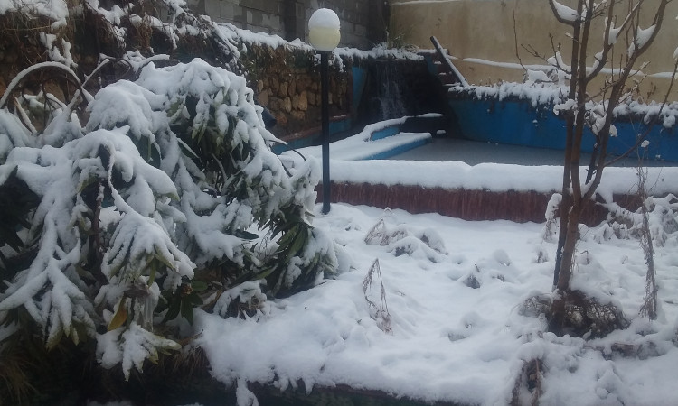 اجاره باغ سبز رویایی