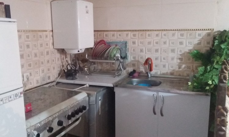 اجاره باغ سبز رویایی