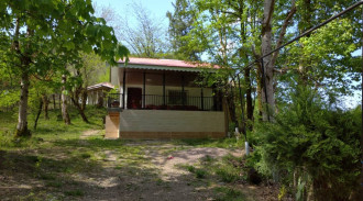 اجاره ویلای جنگلی شفت