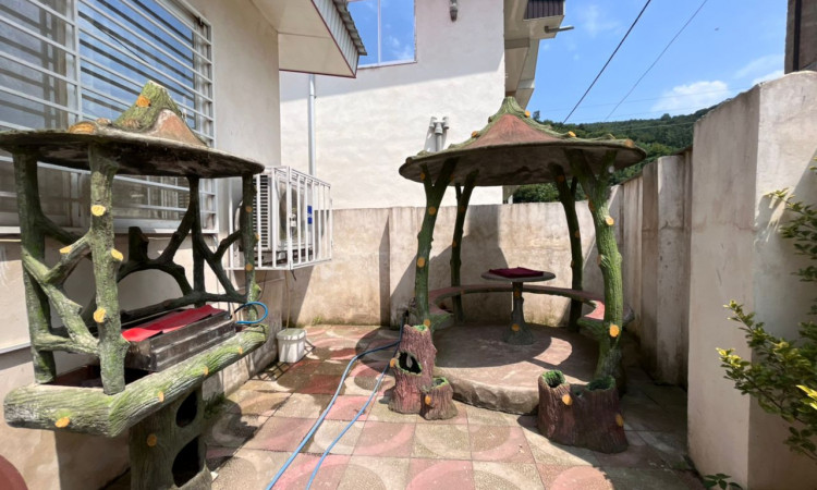 اجاره ویلا دوهزار با ویو جنگلی