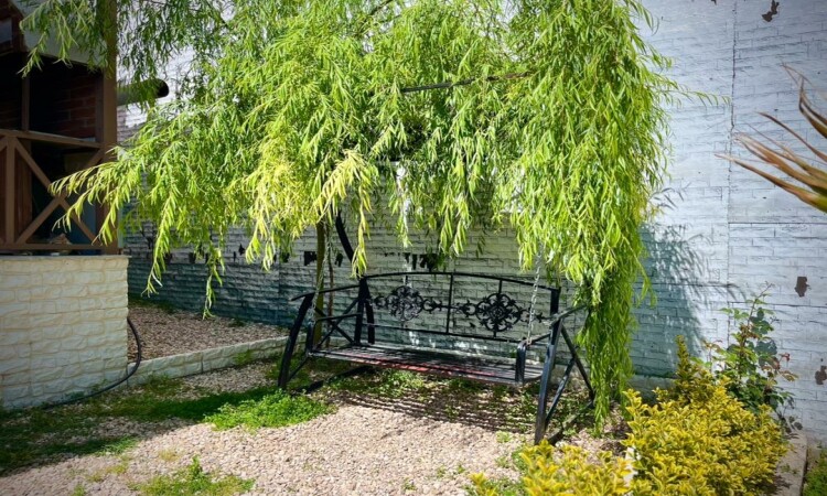 استئجار Villa Villa Rental مع Viva Forest