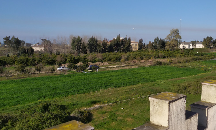 اجاره ویلا دو خوابه ساحلی با چشم انداز جنگل