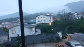 اجاره خانه ای با ویوی رو به جنگل