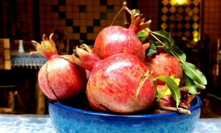 رزرو هتل سنتی فانوس ویونای کاشان (اتاق سارونا)