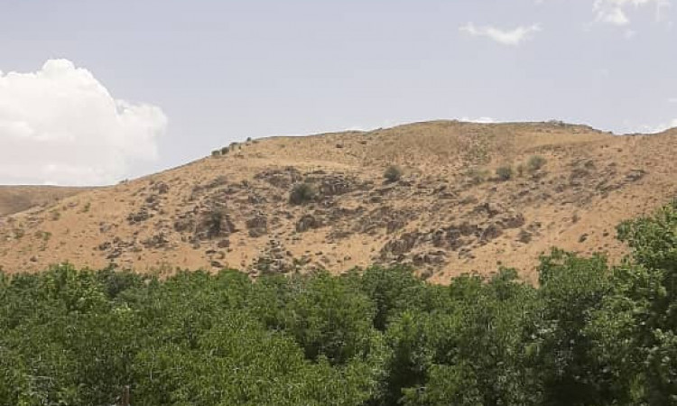 رزرو بوم گردی سادات(اتاق دل نشین)