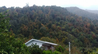 ايجار فيلا سقف ذهبي نمك ابرود - الدور الثاني