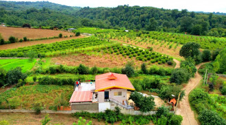 اجاره ویلا جنگلی 100 متری با تراس در 20 کیلومتری ساری