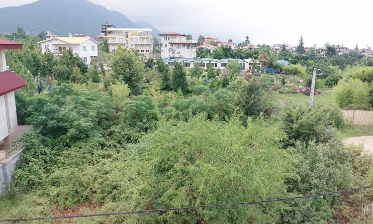 اجاره ویلای دربستی جنگلی در رامسر