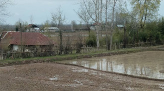 اجاره ویلای دربستی شالیزار