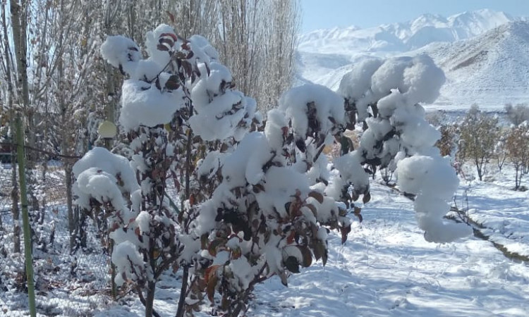 ویلا آسمان با استخر سانسی