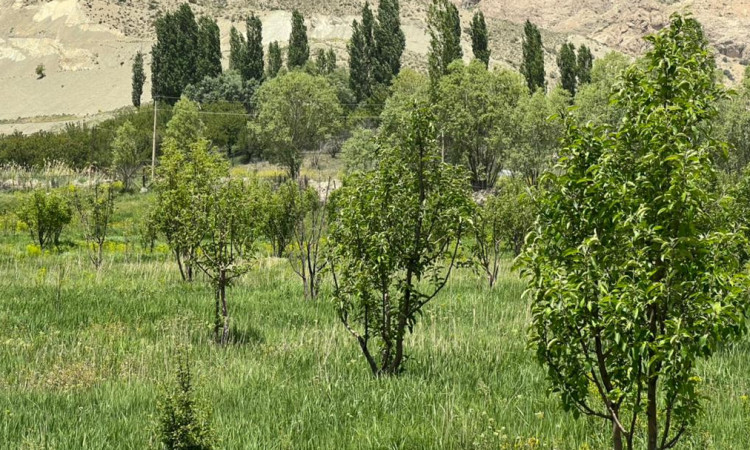 ویلا آسمان با استخر سانسی