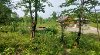 اجاره ویلا جنگلی طرح سوئیسی امیر