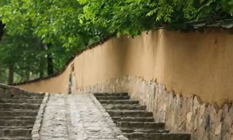 اجاره ویلا کوهستانی کندلوس/اقامتگاه تلارو