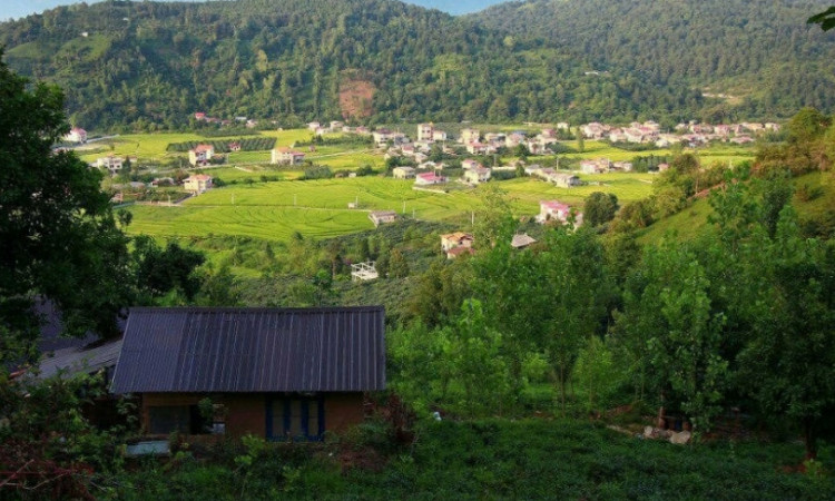اجاره ویلا یک خوابه نیمه جنگلی