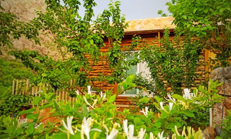 اجاره آپارتمان داریان طبقه اول