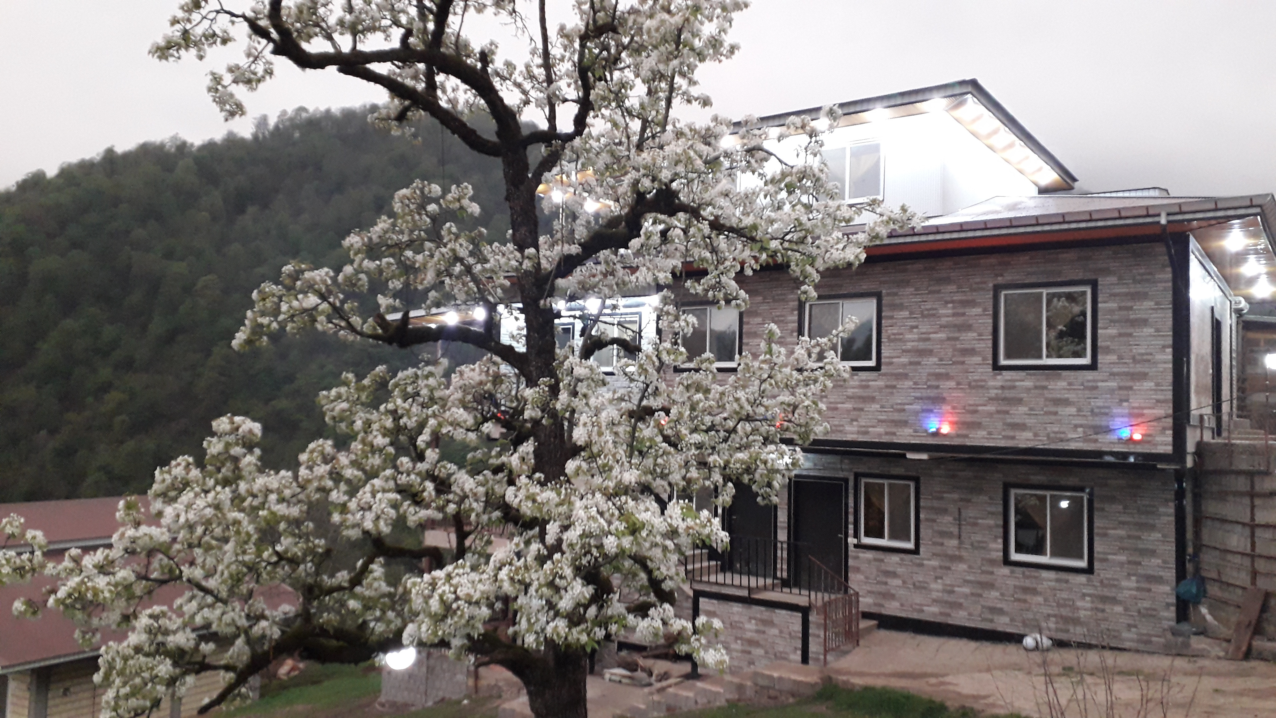 اجاره آپارتمان کاشانه چهارفصل حسینی واحد5