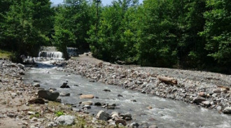 بومگردی جنگلی خانه سبز اتاق 2 نفره