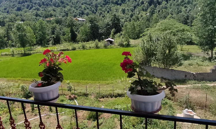 اجاره آپارتمان2 خوابه گیلار