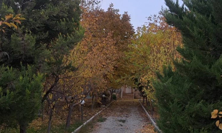 اجاره باغ ویلا استخردار آبگرم نیکان(سهیلیه)
