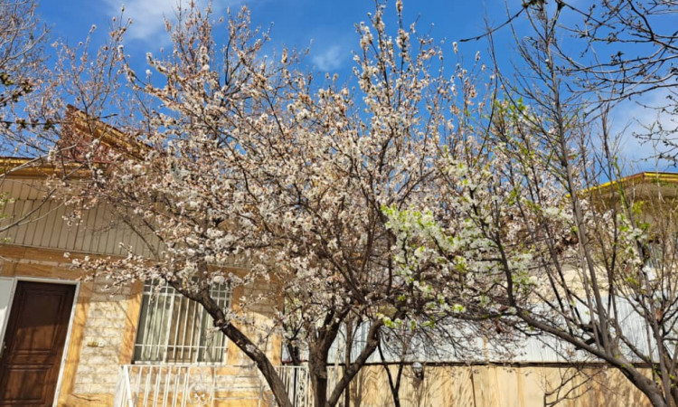 اجاره باغ ویلا استخردار آبگرم نیکان(سهیلیه)