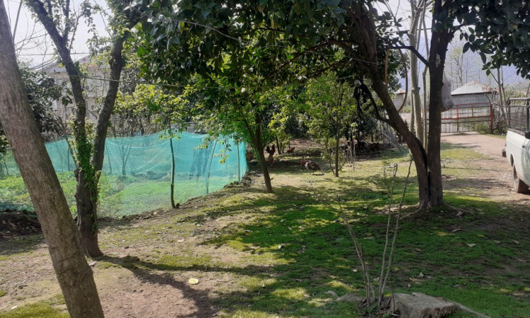 اجاره ویلا روستایی 2 خوابه