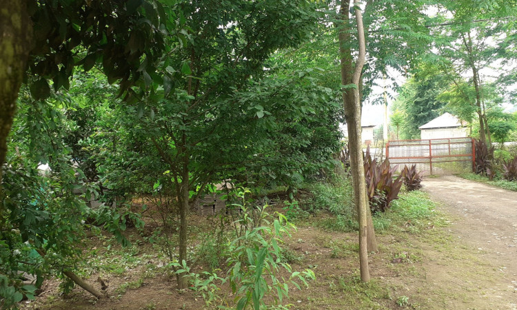 اجاره ویلا روستایی 2 خوابه