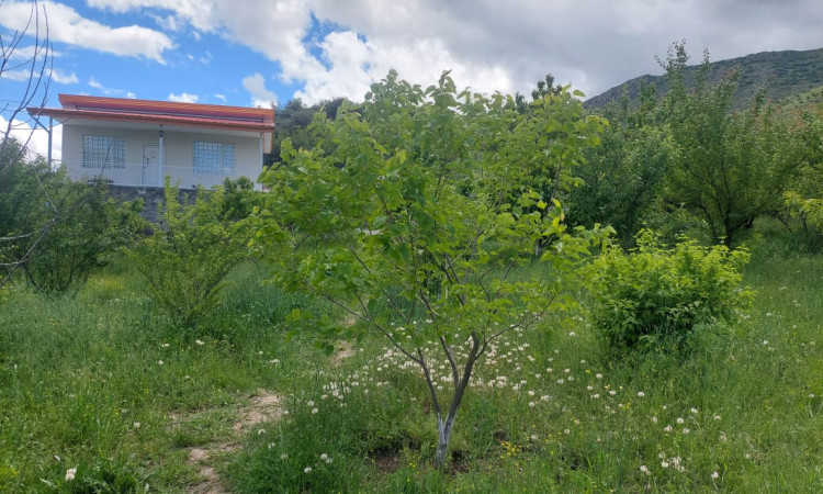 اجاره ویلای 1خوابه اسدی