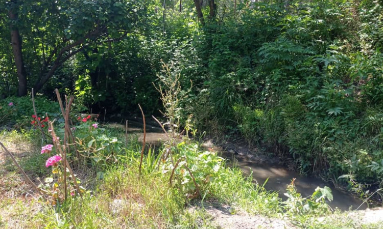 اجاره ویلا 1خوابه سراکه