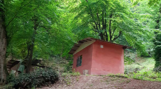 اجاره کلبه پارک جنگلی نسوم (کلبه 6)