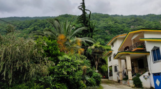 اجاره ویلا جنگلی دوخوابه آرامش