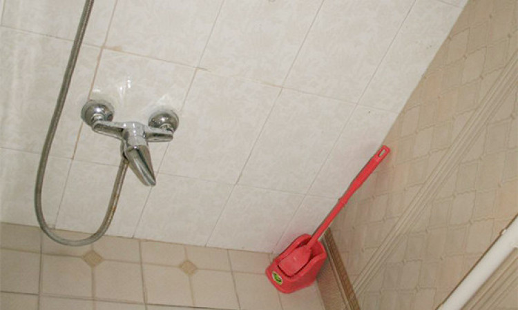 اجاره آپارتمان دنج نزدیک حرم خیابان عنصری واحد 101