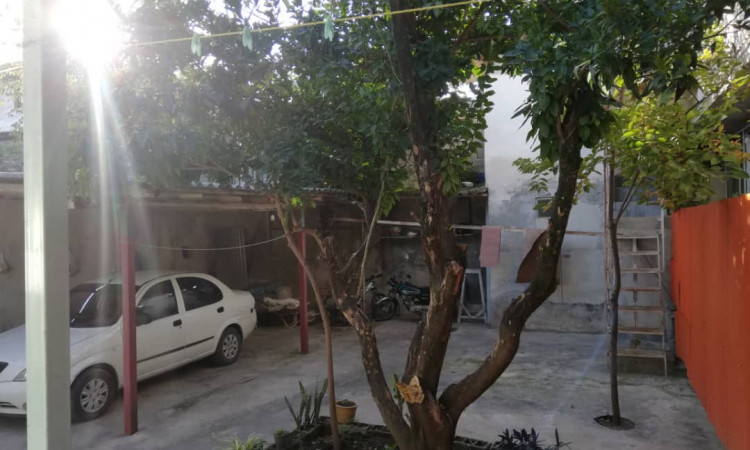 اجاره ویلا تک خوابه ریحانه