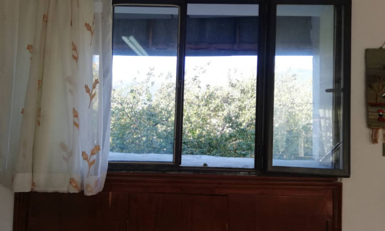 اجاره ویلا تک خوابه ریحانه