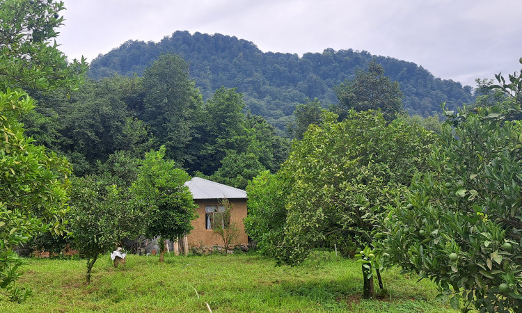 اجاره کلبه 15 متری