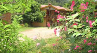 سنوياًفيلا خشبية من طابقين بمساحة 70 متر للإيجار الوحدة 1