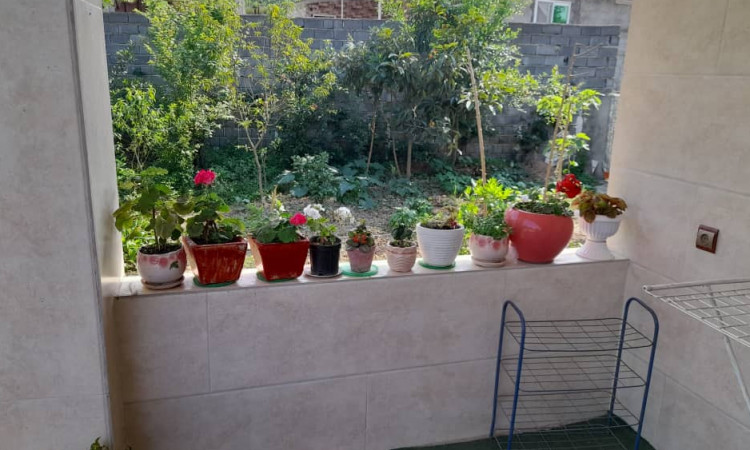 اجاره ویلا 1 خواب جنگلی