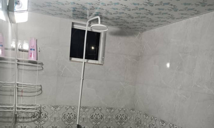 اجاره ویلا 1 خواب جنگلی