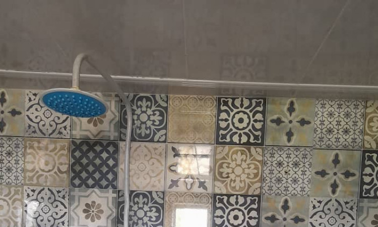 اجاره ویلا 1 خواب جنگلی