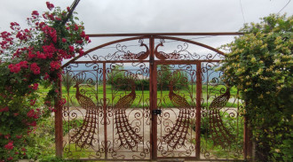 فيلا الطاووس للإيجار مطلة على الغابة