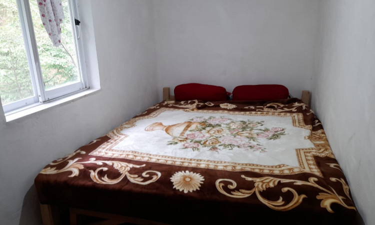 اجاره ویلا تک خواب محسن