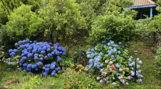 استئجار فيلا غابات في سبيرود