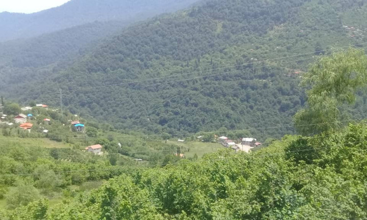 اجاره ویلا تک خواب بهشت رودسر
