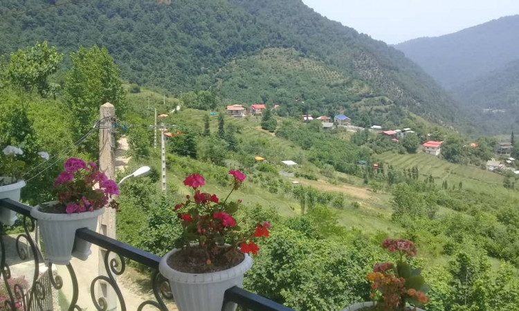 اجاره ویلا تک خواب بهشت رودسر