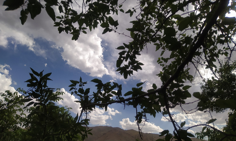 رزرو بوم گردی قلعه کوه سفید