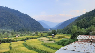 استئجار شقة في شكلة مع زعيم الطبيعة