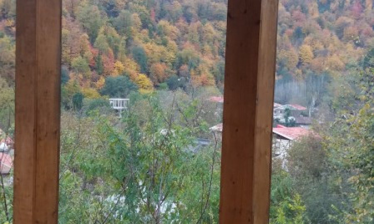 اجاره ویلا چوبی و جنگلی دوبلکس(1)