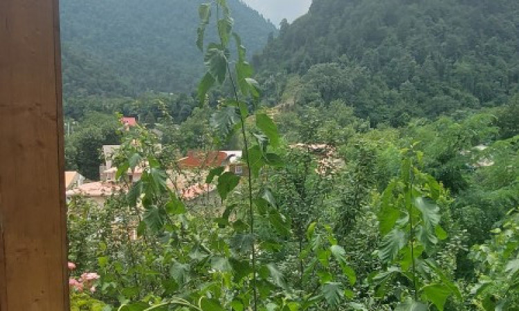 اجاره ویلا چوبی و جنگلی دوبلکس(1)