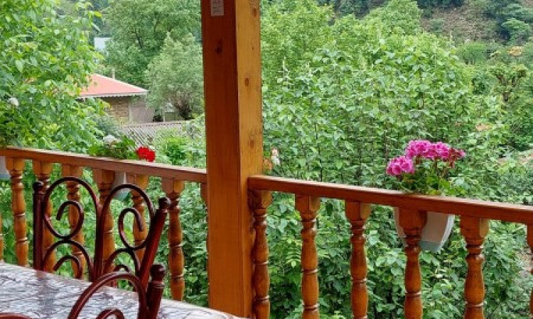 اجاره ویلا چوبی و جنگلی دوبلکس(1)