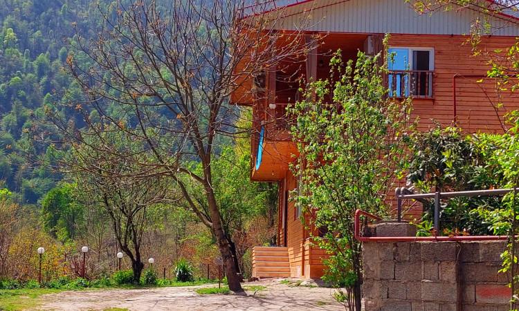 اجاره ویلا چوبی و جنگلی دوبلکس(1)